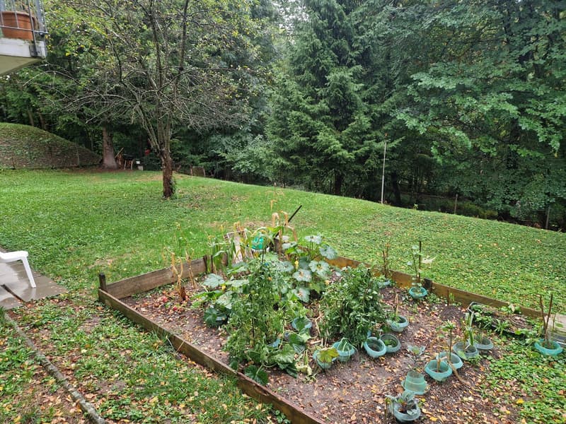 Zentrale und ruhige 2.5-Zimmer-Wohnung mit direktem Gartenzugang (6)