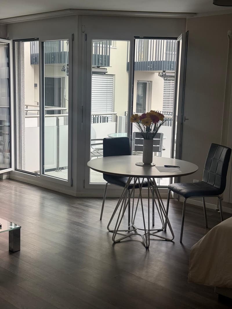Cozy Studio in Oerlikon, Zurich (3)