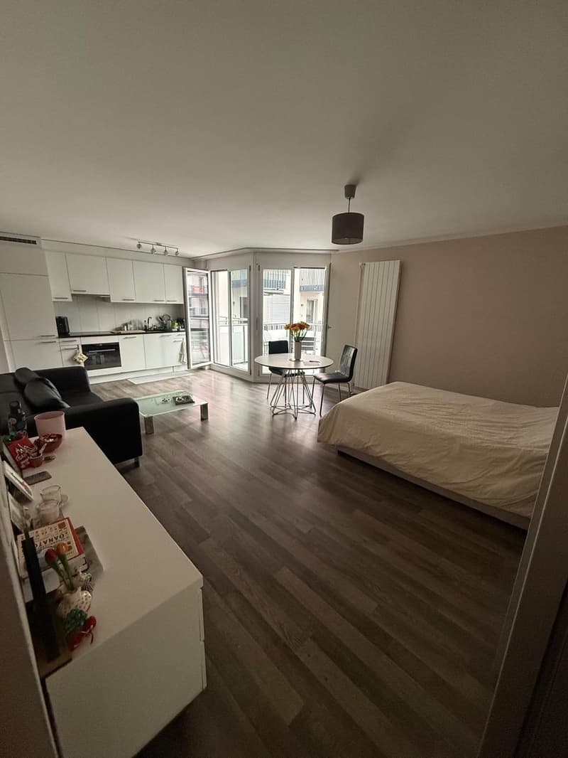 Cozy Studio in Oerlikon, Zurich (2)