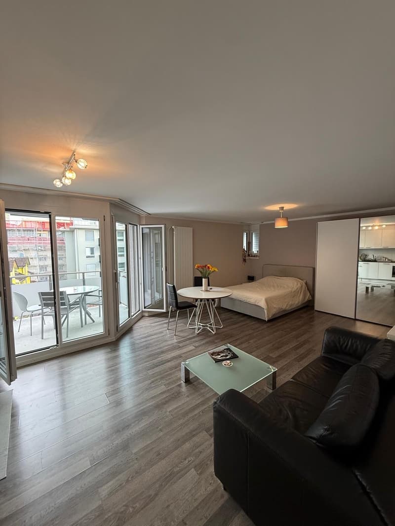 Cozy Studio in Oerlikon, Zurich (1)
