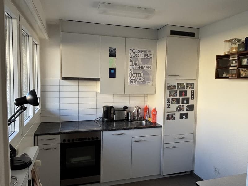 1.5 Zimmer Wohnung in Wollishofen, 5 Gehminuten zum Zürichsee (3)