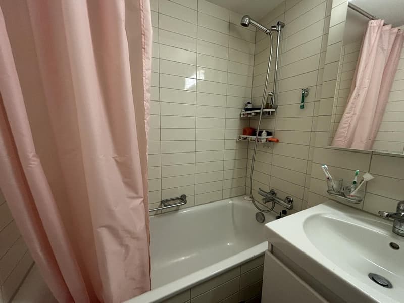 1.5 Zimmer Wohnung in Wollishofen, 5 Gehminuten zum Zürichsee (4)