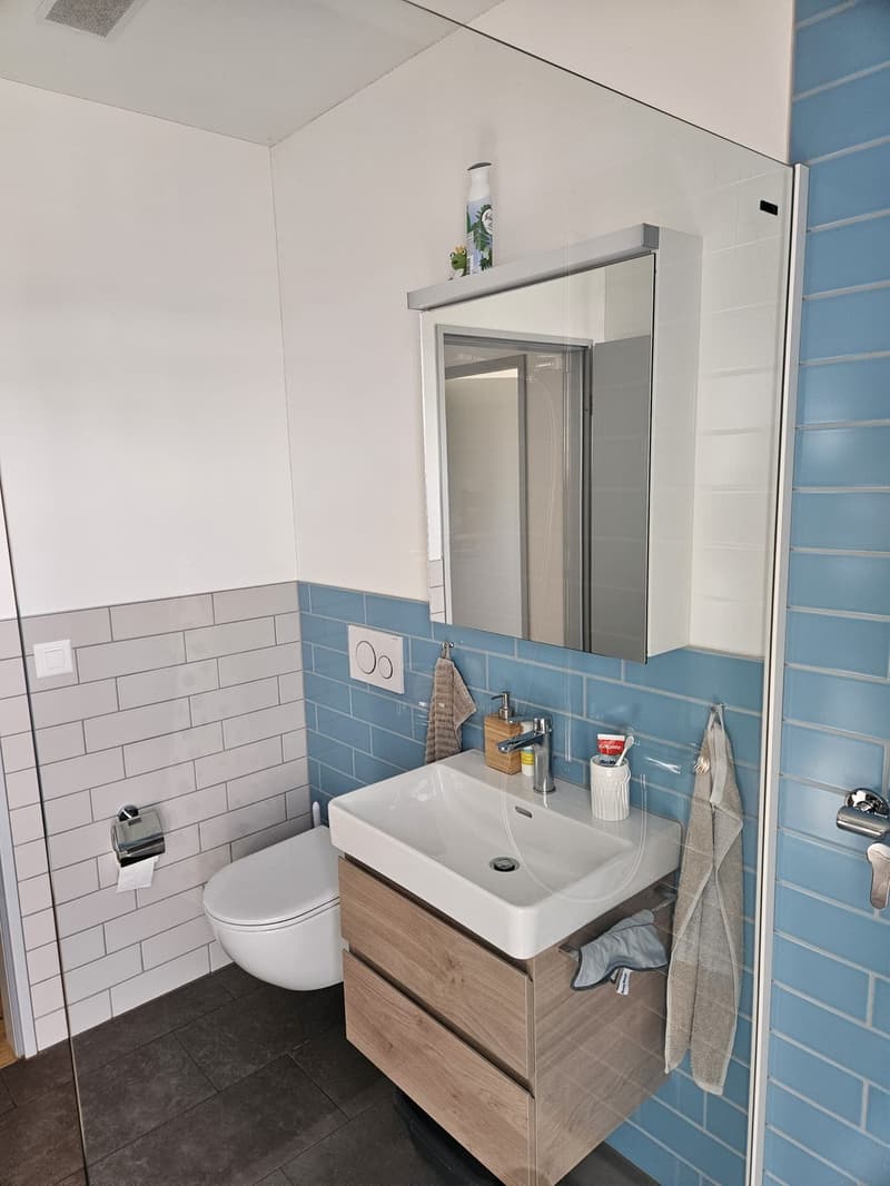 3.5-Zimmer-Wohnung (1)