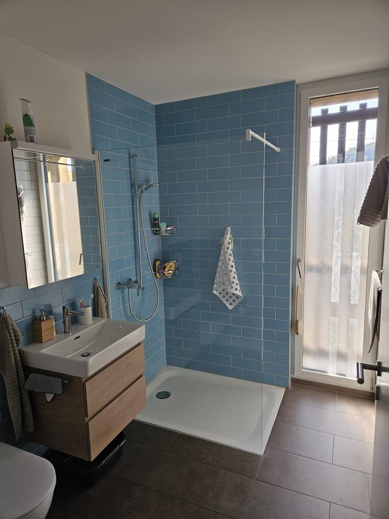3.5-Zimmer-Wohnung (4)
