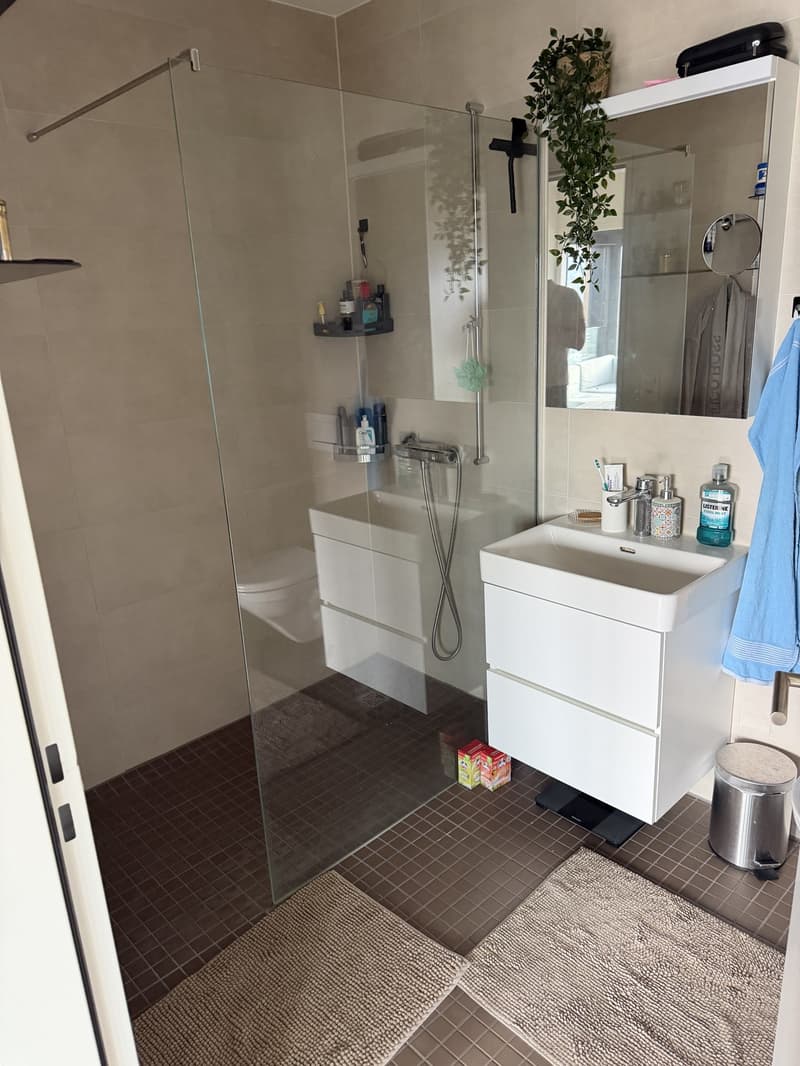 Wohnung Dübendorf im Giessenturm inkl. PP (6)