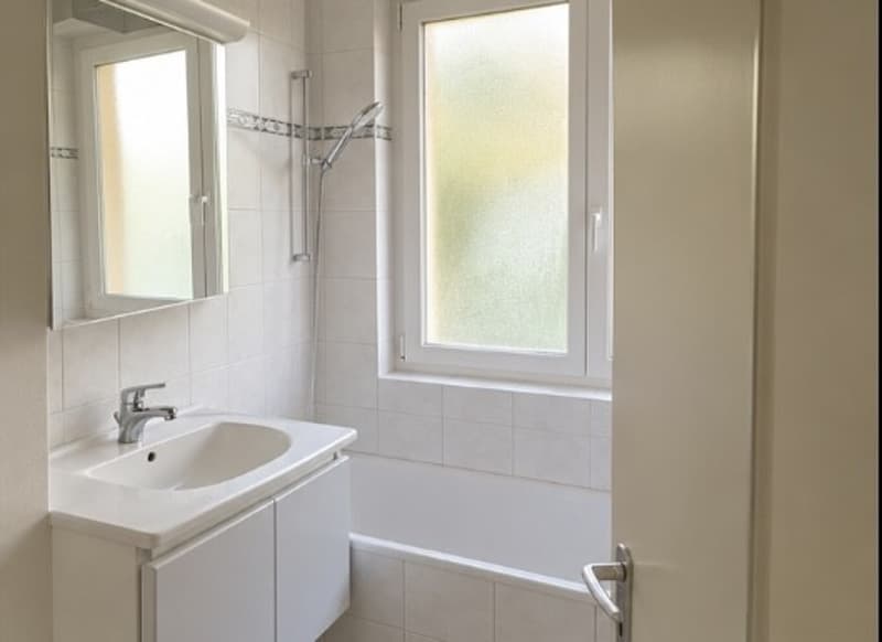 2 ½ Zimmer-Wohnung, 8640 Rapperswil (2)