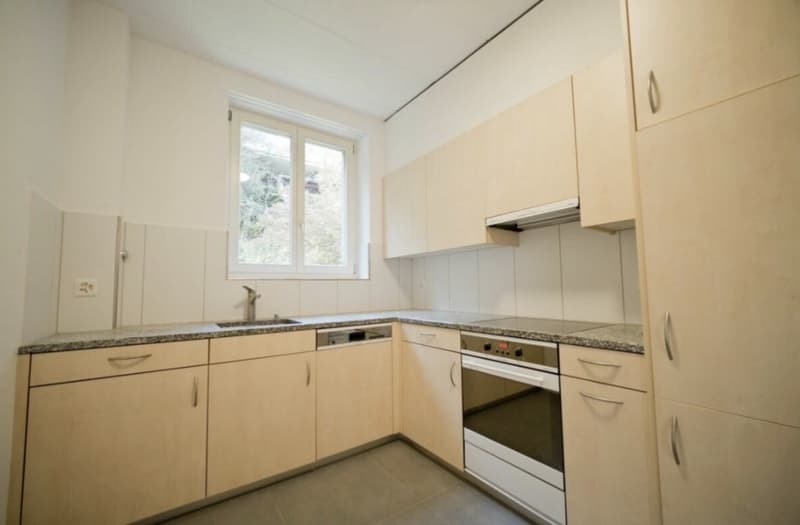 4 Zimmer-Wohnung, 9000 St. Gallen (10)