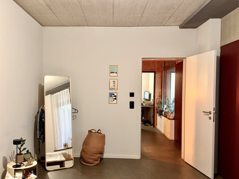 Helle und grosszügige 2-Zimmer-Wohnung in der modernen Überbauung "Wagonlits" (5)