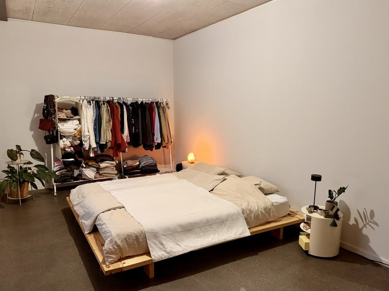 Helle und grosszügige 2-Zimmer-Wohnung in der modernen Überbauung "Wagonlits" (4)