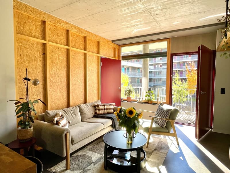 Helle und grosszügige 2-Zimmer-Wohnung in der modernen Überbauung "Wagonlits" (1)