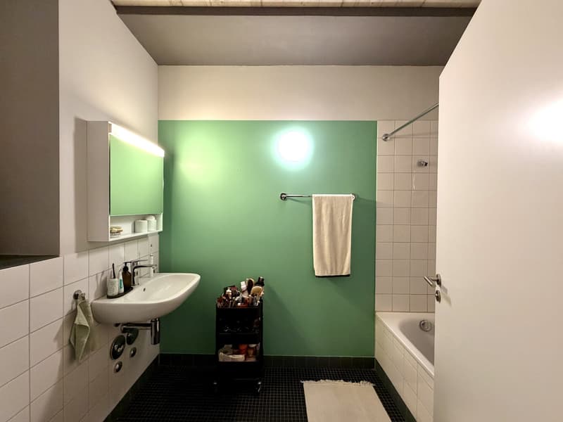 Helle und grosszügige 2-Zimmer-Wohnung in der modernen Überbauung "Wagonlits" (6)