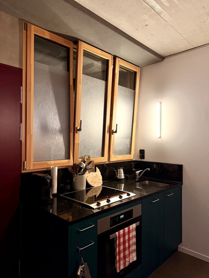 Helle und grosszügige 2-Zimmer-Wohnung in der modernen Überbauung "Wagonlits" (3)