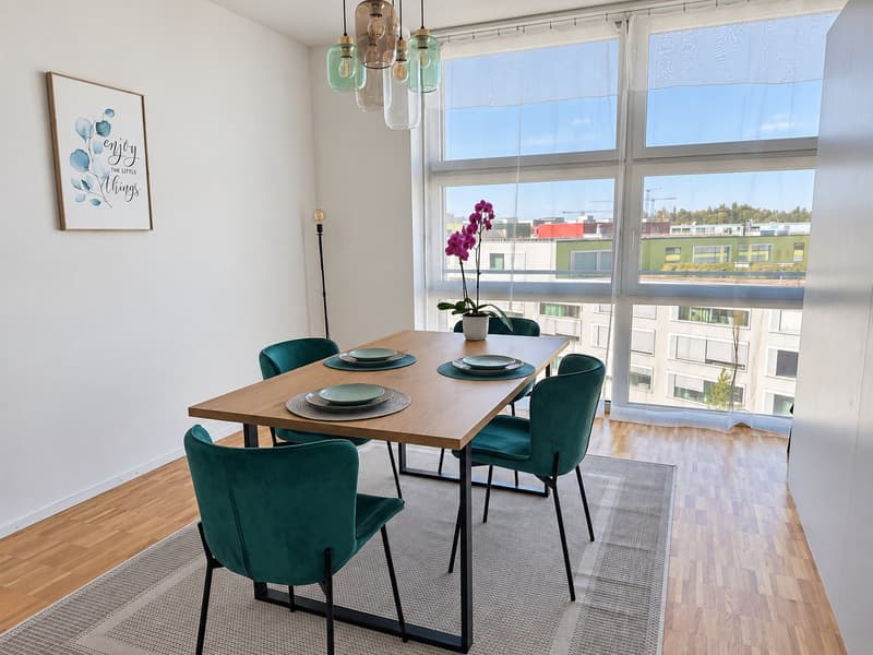 Bright & spacious furnished 3.5-room apartment, centrally located 5 mins to Oerlikon train station (9)