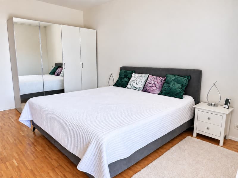 Bright & spacious furnished 3.5-room apartment, centrally located 5 mins to Oerlikon train station (6)