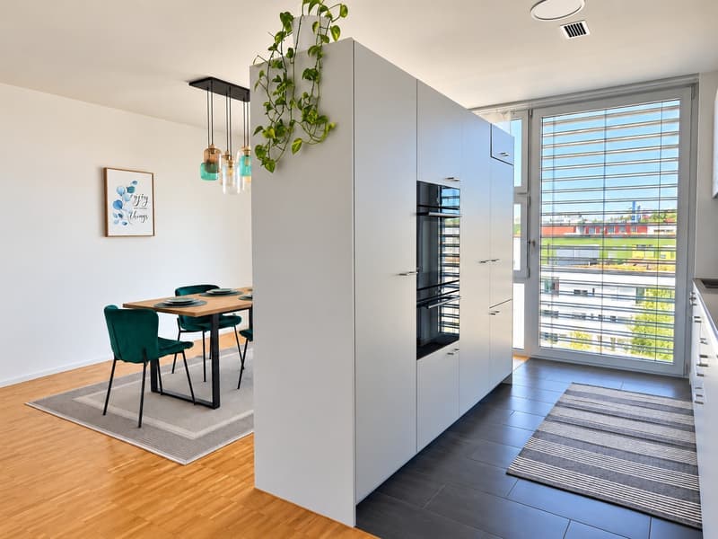 Bright & spacious furnished 3.5-room apartment, centrally located 5 mins to Oerlikon train station (10)