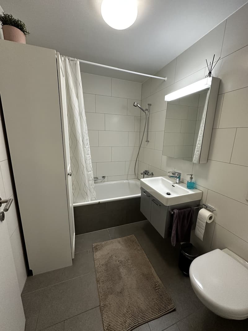Grosszügige, moderne 3.5 Zimmerwohnung (3)