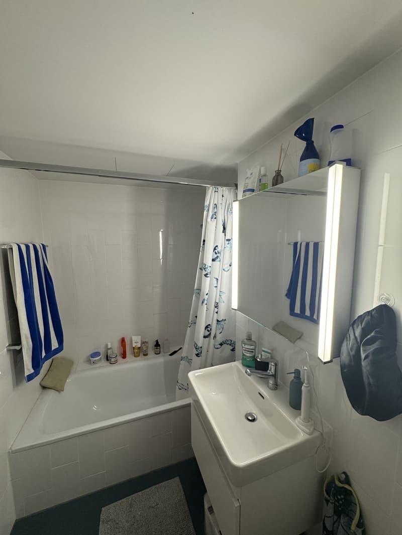 2.5 Zimmer Wohnung zur Untermiete - 2.3 bedroom apartment sublet (4)