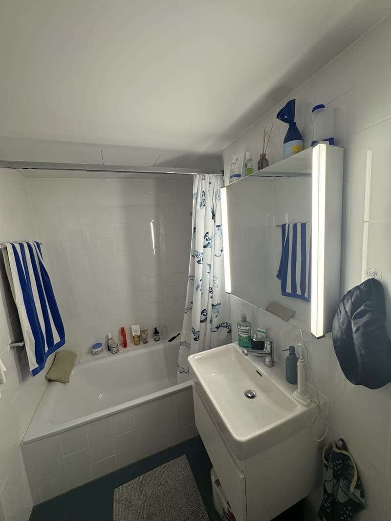 2.5 Zimmer Wohnung zur Untermiete - 2.3 bedroom apartment sublet (10)