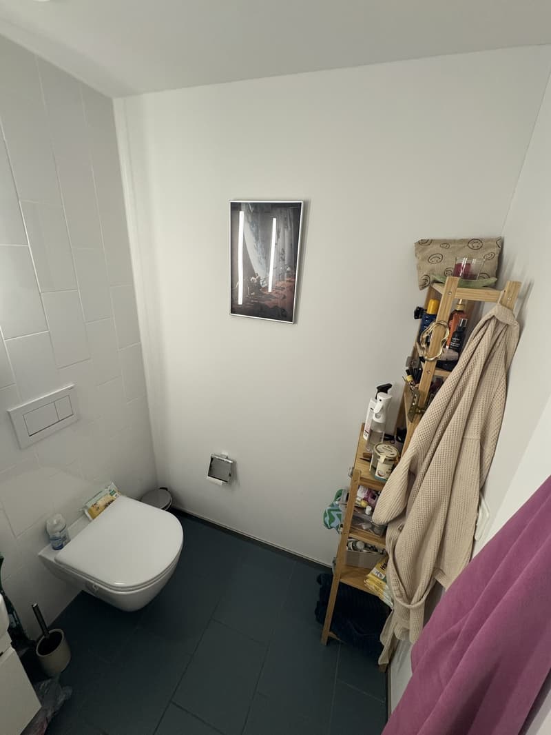 2.5 Zimmer Wohnung zur Untermiete - 2.3 bedroom apartment sublet (13)