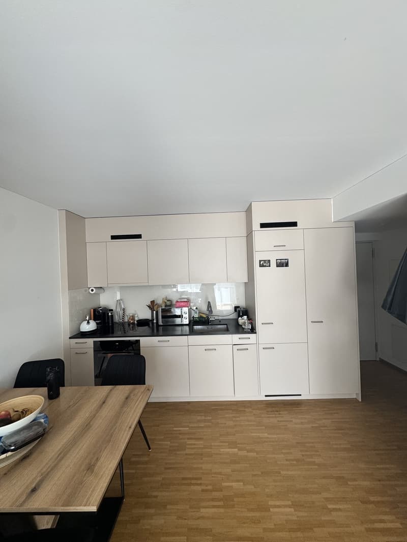 2.5 Zimmer Wohnung zur Untermiete - 2.3 bedroom apartment sublet (2)