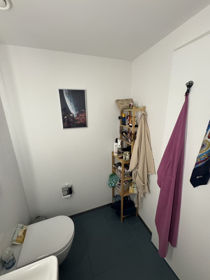 2.5 Zimmer Wohnung zur Untermiete - 2.3 bedroom apartment sublet (8)