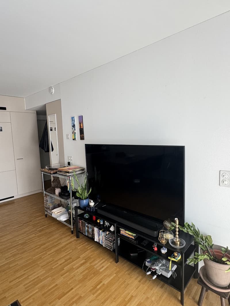 2.5 Zimmer Wohnung zur Untermiete - 2.3 bedroom apartment sublet (3)