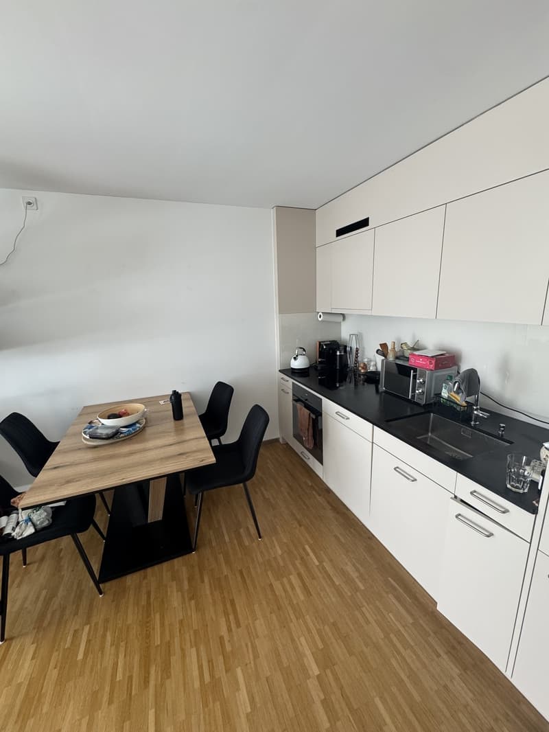 2.5 Zimmer Wohnung zur Untermiete - 2.3 bedroom apartment sublet (5)