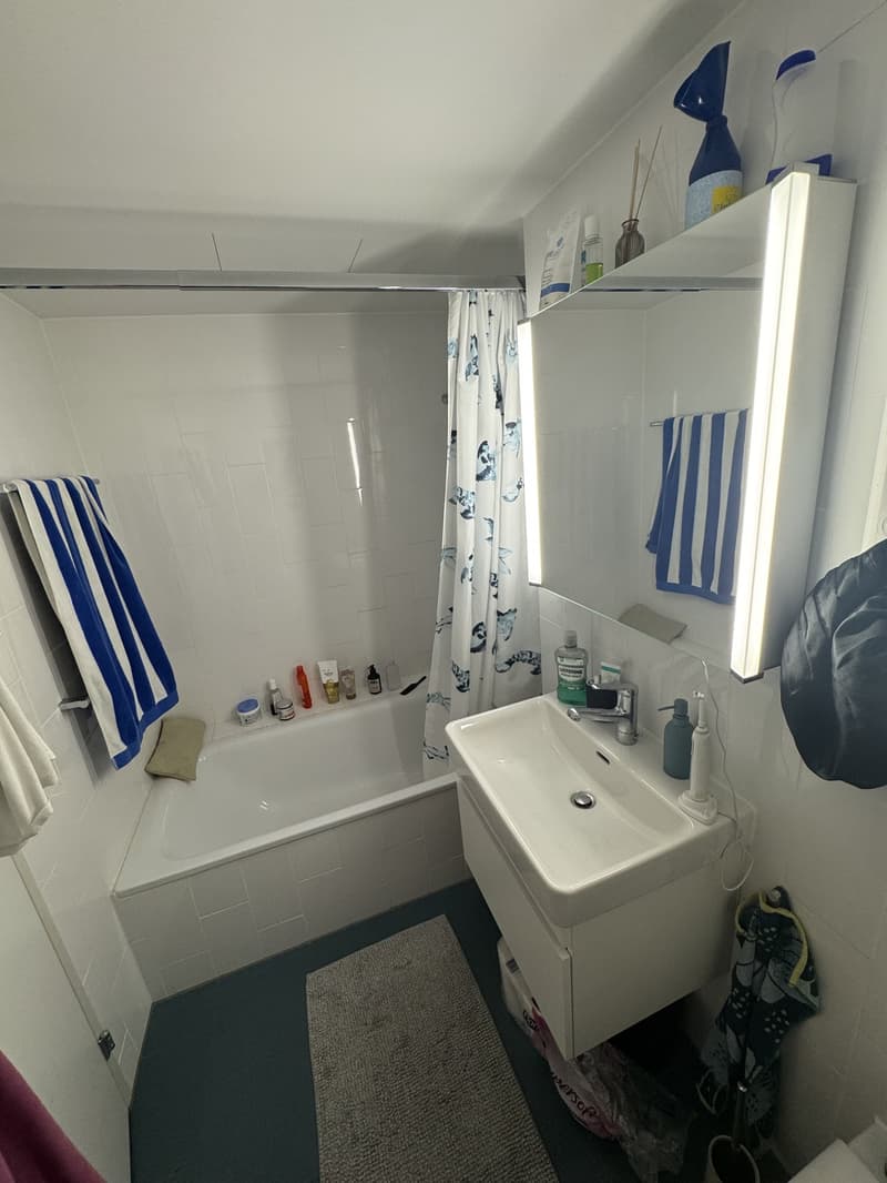 2.5 Zimmer Wohnung zur Untermiete - 2.3 bedroom apartment sublet (7)