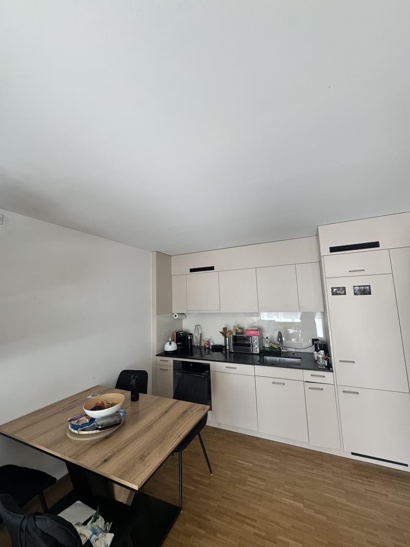 2.5 Zimmer Wohnung zur Untermiete - 2.3 bedroom apartment sublet (11)