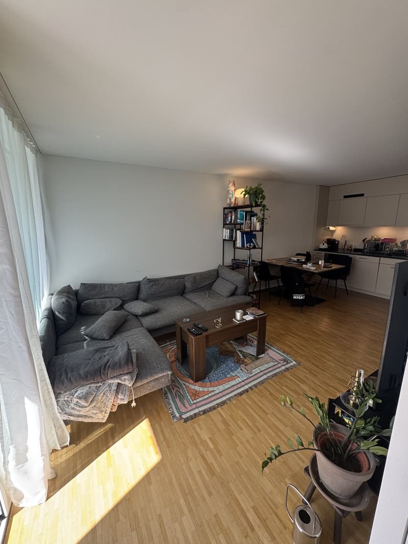 2.5 Zimmer Wohnung zur Untermiete - 2.3 bedroom apartment sublet (6)