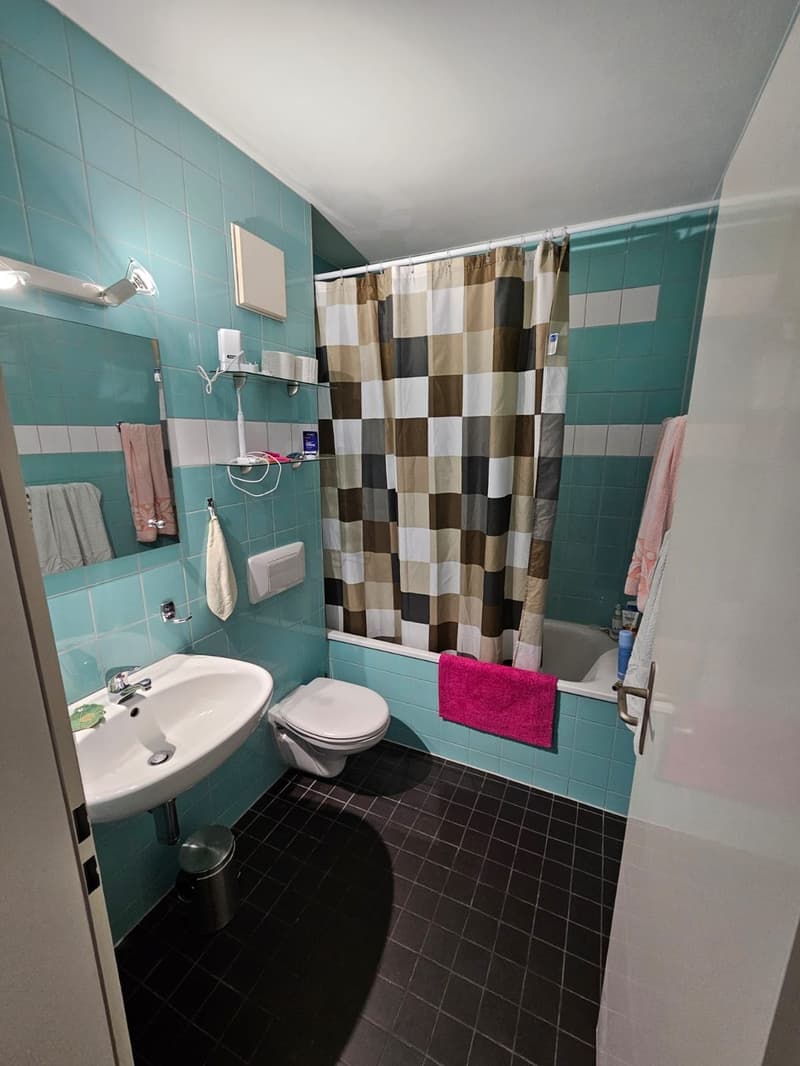 Untermieter/Mitbewohner in 3.5 Zimmer Wohnung gesucht (4)