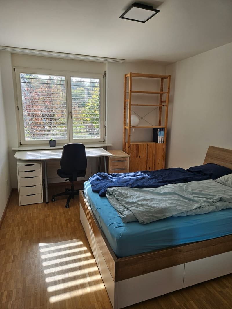 Untermieter/Mitbewohner in 3.5 Zimmer Wohnung gesucht (1)