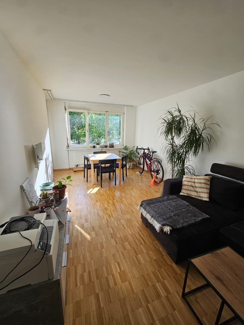Untermieter/Mitbewohner in 3.5 Zimmer Wohnung gesucht (2)