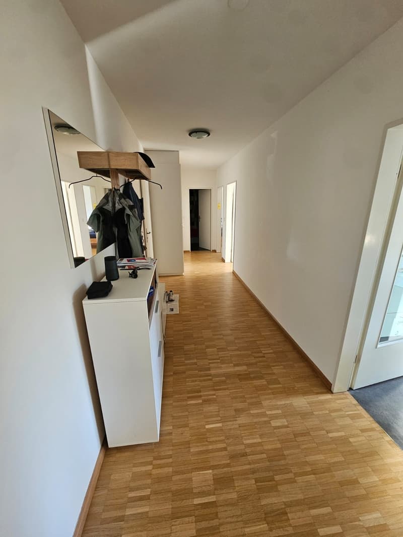 Untermieter/Mitbewohner in 3.5 Zimmer Wohnung gesucht (3)