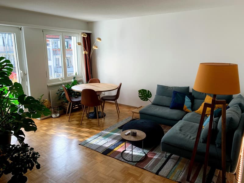 Fully Furnished 2-Room Apartment in Central Zürich (1)