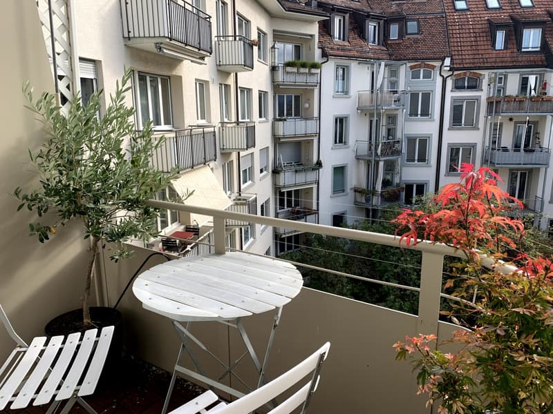 Fully Furnished 2-Room Apartment in Central Zürich (8)