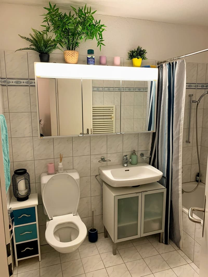 Fully Furnished 2-Room Apartment in Central Zürich (7)