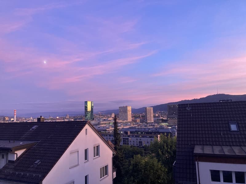 Möbliertes Zimmer in Wipkingen/Höngg. Untermiete oder Wochenaufenthalt. Ab ca. Mitte November. (4)