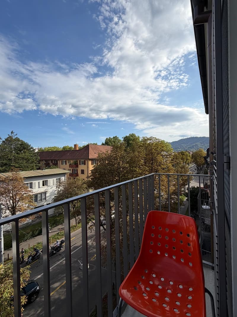 Möblierte 3.5-Zimmer-Wohnung befristet zur Untermiete (8)