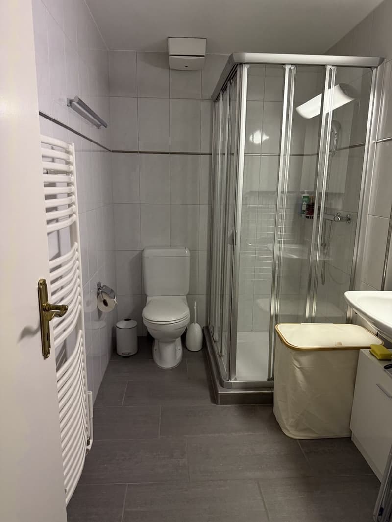 spacious, and comfortable apartment in Meilen, Zurich (2)