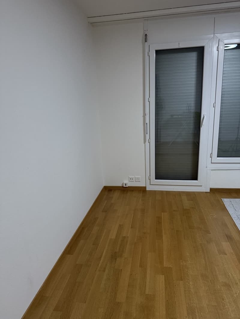 spacious, and comfortable apartment in Meilen, Zurich (1)