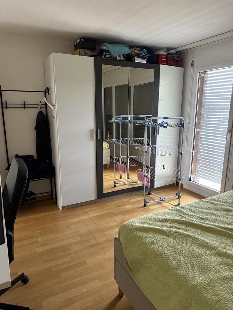 spacious, and comfortable apartment in Meilen, Zurich (4)