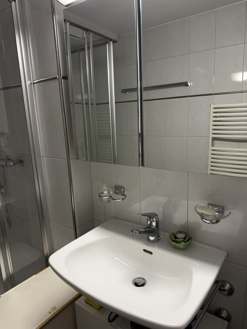 spacious, and comfortable apartment in Meilen, Zurich (3)