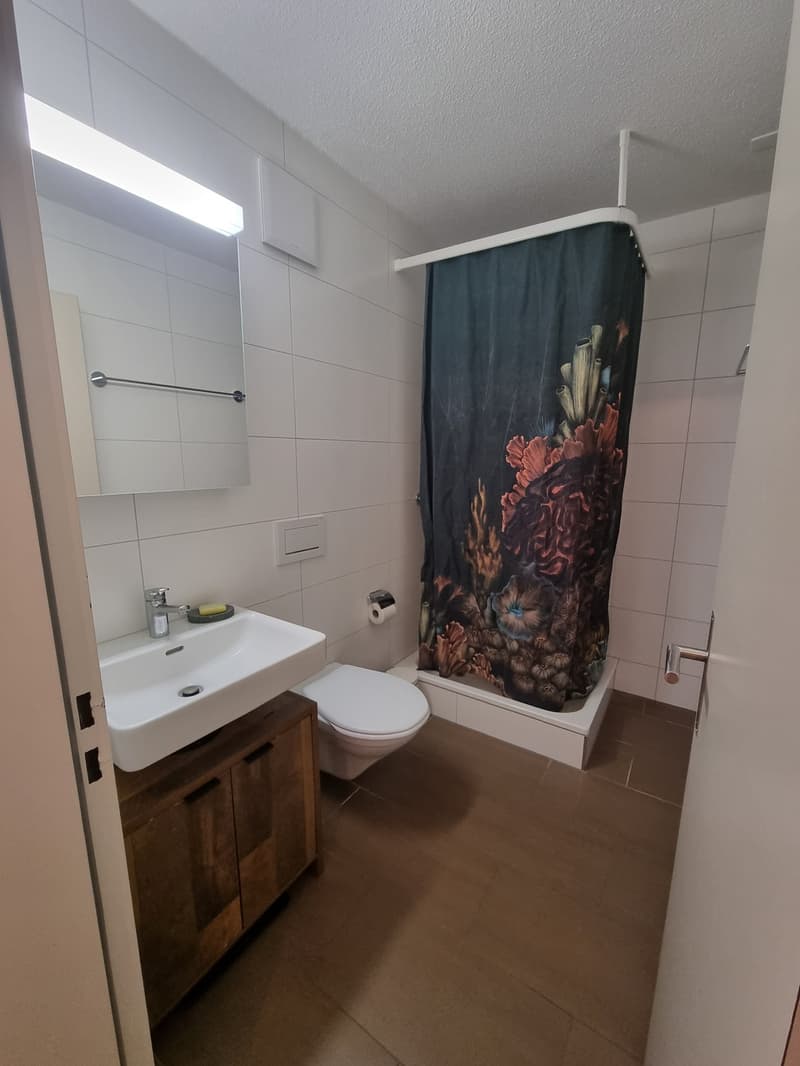 4.5 Zimmer Wohnung zur Untermiete beim Bullingerplatz (Jan.-März 27) (9)