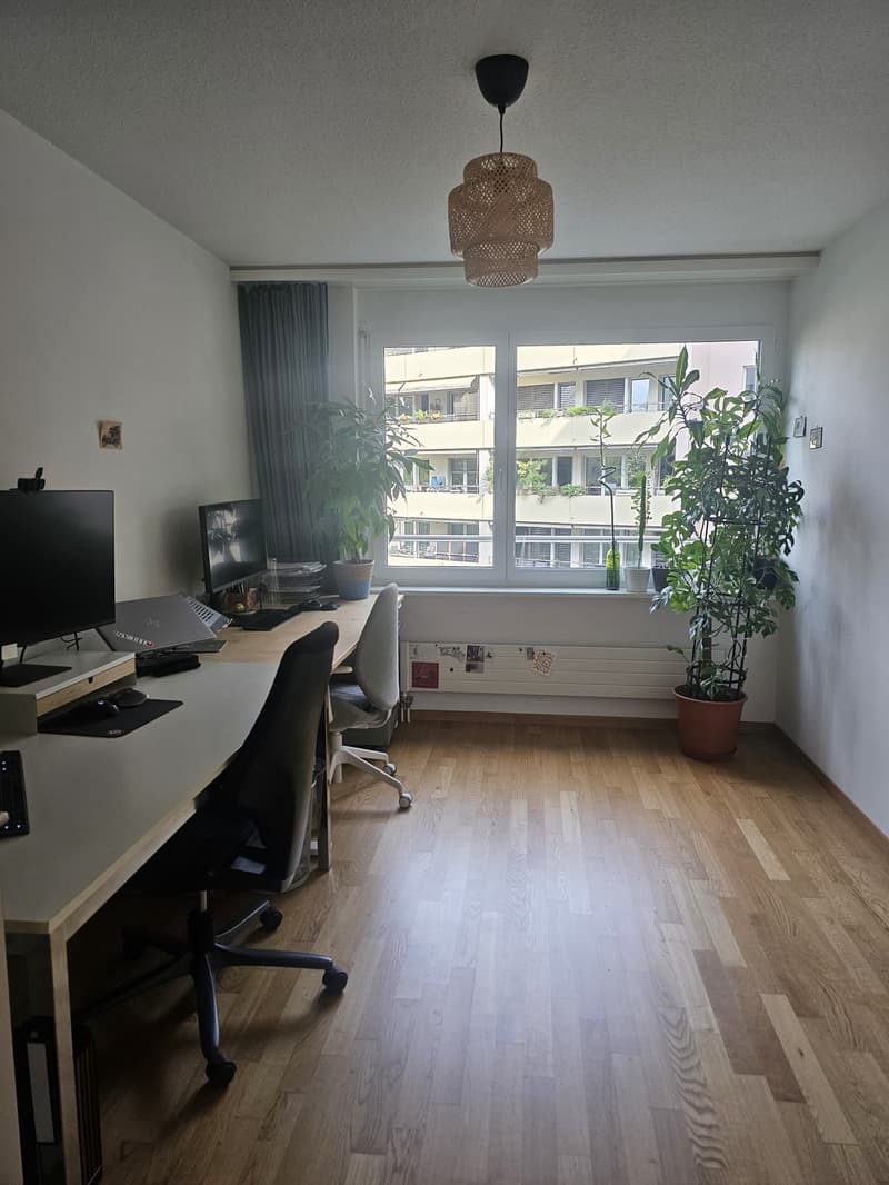 4.5 Zimmer Wohnung zur Untermiete beim Bullingerplatz (Jan.-März 27) (8)