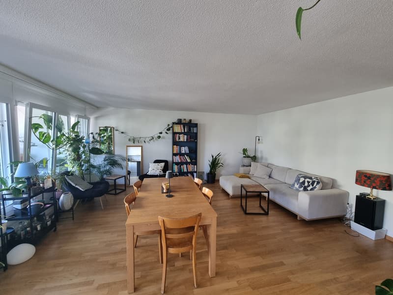 4.5 Zimmer Wohnung zur Untermiete beim Bullingerplatz (Jan.-März 27) (1)