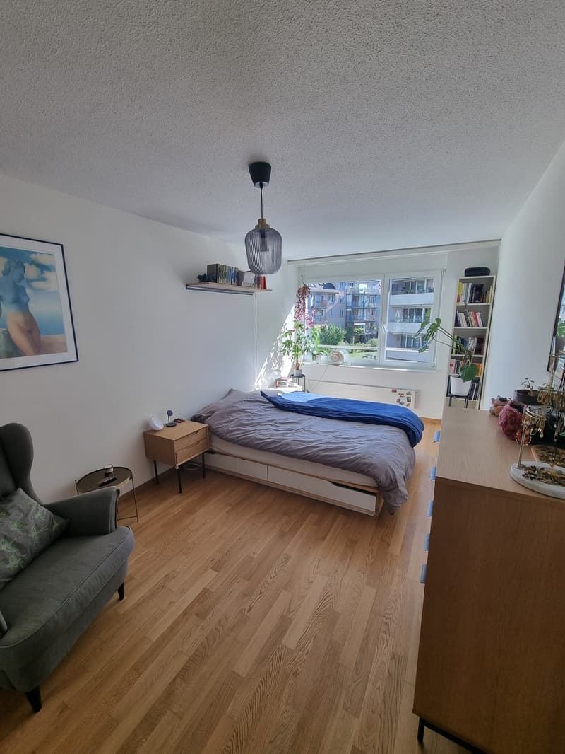 4.5 Zimmer Wohnung zur Untermiete beim Bullingerplatz (Jan.-März 27) (6)