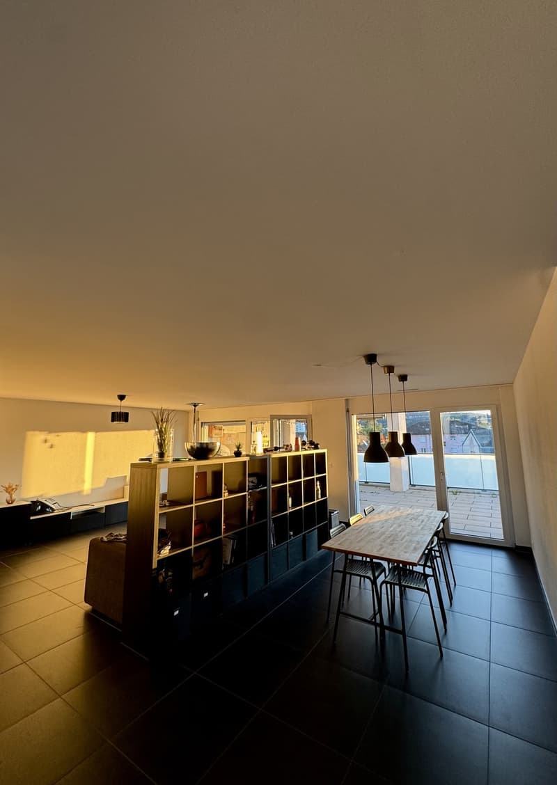WG-Zimmer (inkl. eigenem Bad) in Attikawohnung an Top-Lage in Dübendorf (4)