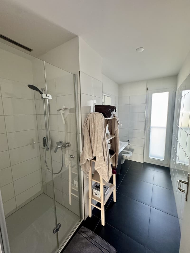 WG-Zimmer (inkl. eigenem Bad) in Attikawohnung an Top-Lage in Dübendorf (8)