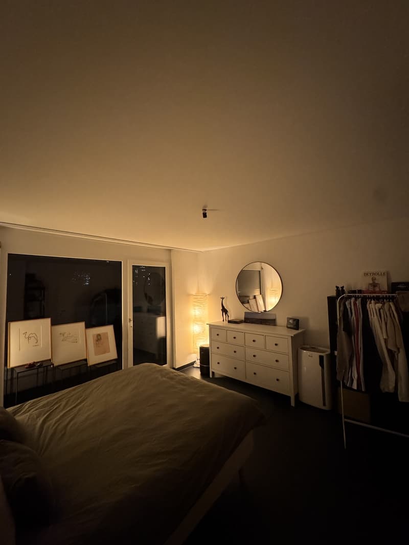 WG-Zimmer (inkl. eigenem Bad) in Attikawohnung an Top-Lage in Dübendorf (13)